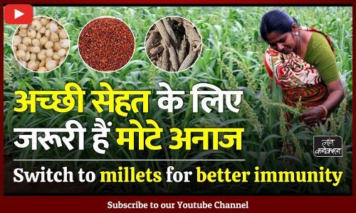 #Millets