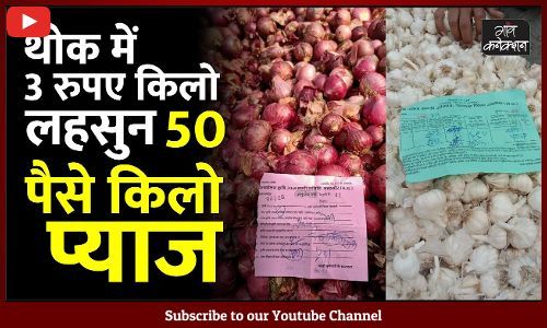 #garlic  price