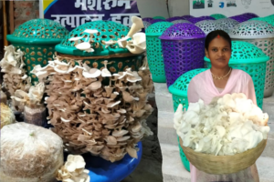 oyster mushroom farming new technique gaya bihar profitable farming button mushroom rajesh kumar singh