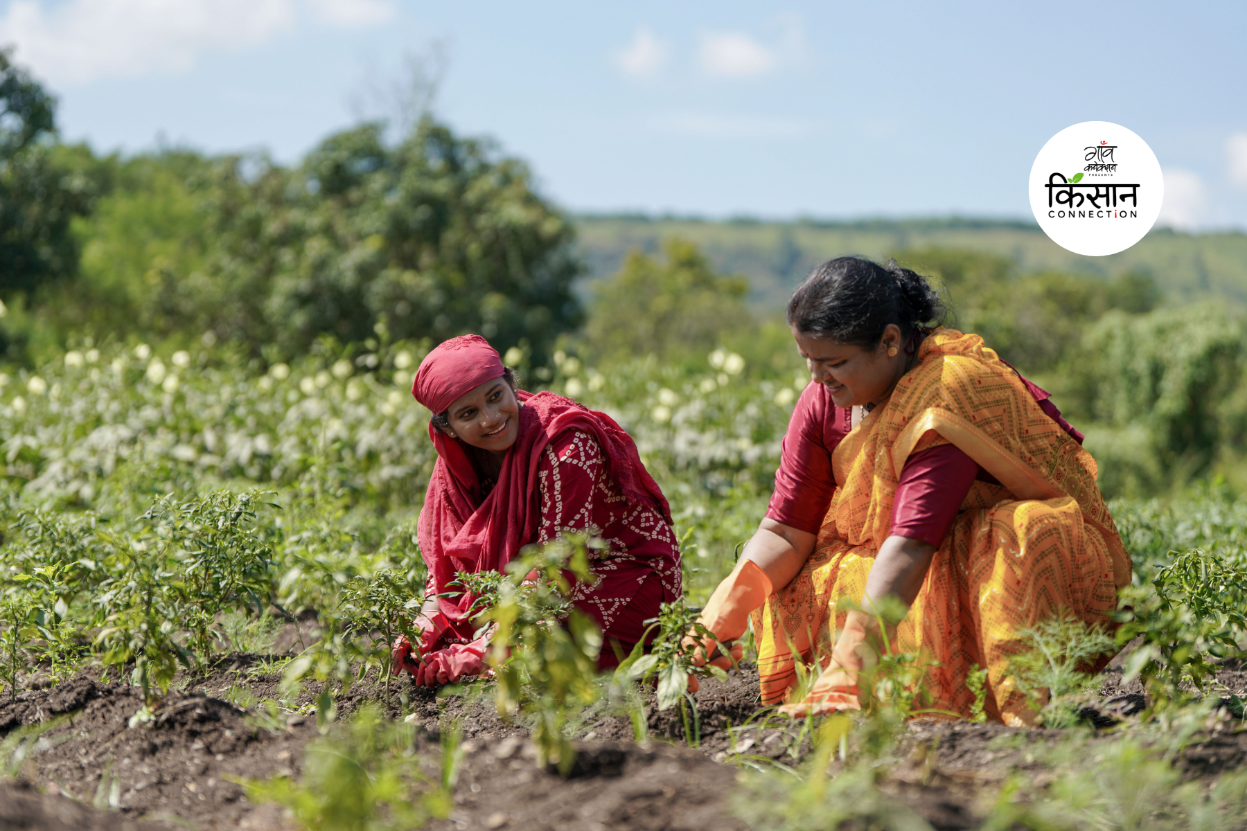 jeevamrit natural farming